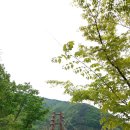 백곡농장 | [증평] 가볼만한곳,좌구산구름다리 김득신묘소 삼기저수지 외 맛집추천!(1)