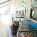 단짠아쿠아 평화점 | 3살 아기랑 물고기, 소동물보러 김제 단짠아쿠아