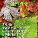 우리;꽃 이미지