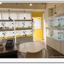 펫퍼스트24시 서울송파점 강아지고양이분양말티푸말티즈푸들 이미지