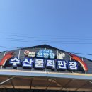 바다와 파도소리 | 1025 태안캠핑 | 바다와파도소리 | 소금새우구이,꽃게마요구이, 가리비술찜 만들어먹기