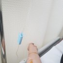 푸른연합의원 이미지
