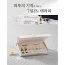 홀리테라피