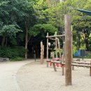 서울숲유아숲체험장 내손안에서울