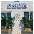 지금식당 - 중구 | 지금식당