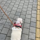 세이브 동물병원 이미지