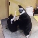진술미용실 이미지