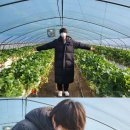 형은농장 이미지