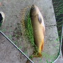 이정골낚시터 이미지