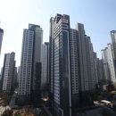 강남서초