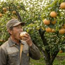 박광수농장 이미지