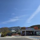 새들의 정원 이미지