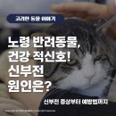 (주)고려메디칼 이미지