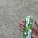 폴리스백 | 청주 맛집 삼겹살 백산화로 테크노폴리스 송절점 저녁 식사 후기