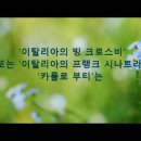 물망초...DO NOT FORGET ME(5月에 피는 꽃 물망초 이야기) 이미지