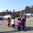 진도유치원 이미지