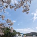 2024 봄의왈츠 이미지