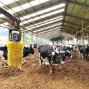 두정목장 이미지