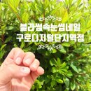구디역네일 블라썸속눈썹네일 :: 깔끔우아한 웨딩네일 후기