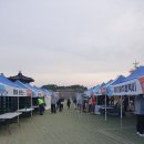봉사길 | 대청호 벚꽃길 마라톤대회 자원봉사 후기