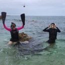 장호비치캠핑장 이미지