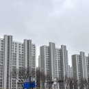 명품 | 메이그마티 magmati 쇼룸 방문 및 소파 구매 후기
