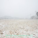 송동1교 - 철원군 | 송동1교