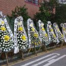호원초등학교 앞 이미지
