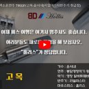 알버트악기 이미지