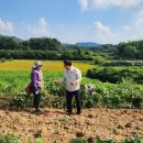 보람농산 - 거제시 옥포로19길 2 | 보람농산