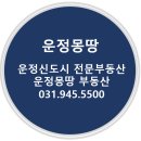 운정몽땅부동산공인중개사사무소 이미지
