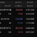 낼 상장하는 ace 반도체 top2 살까말까 이미지