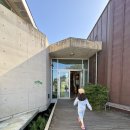 주식회사 오라렌트카 | 제주공항 근처 카페 추천｜생망고가 이렇게 많이? “먹쿠슬낭 카페” 망고빙수 솔직후기