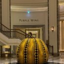 파라다이스시티 | 파라다이스시티 호텔 후기: 디럭스룸, 씨메르, 사우나, 헬스장 이모저모