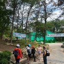 [관악산 등산 후기] 위케어리셋 1기 크루들과 함께한 뿌듯한 하루! (사당역~관악능선 코스)