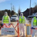 김포메추리농장 이미지