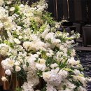 아르떼마르 | #WEDDING3:청주 메리다 웨딩컨벤션 투어