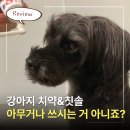 웅상프랜드 동물병원 | 강아지 치약 추천 페노비스 오랄벳 후기｜입냄새·양치 거부 해결템 써봤어요