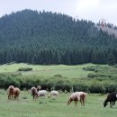 이상기목장 이미지