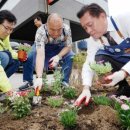 장다리로 이미지