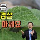팔체질 특성과 체질음식 이미지