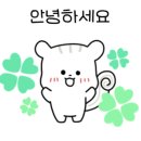 정심리상담연구소