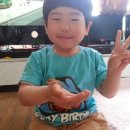 승민애견 이미지