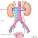 깨움