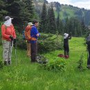 Singing Pass (1of2) 이미지