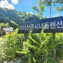마령큰시내들캠핑장.펜션 이미지