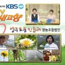 양구민들레영농조합법인 이미지