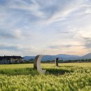 분황사 - 1658 | 경주 가볼만한 곳 청보리 만개 사진찍기 정말 좋은 분황사 후기