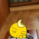 토담마실 이미지