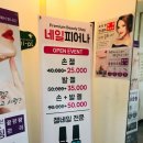 네일;피어나 이미지